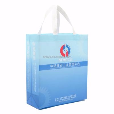 China China Eco-friendly Recycled PP Non Woven Promotion Polypropylene Bag for sale