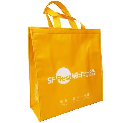 China Insulated Tote Bag Insulted Nonwoven Cooler Lunch Tote Bag PP Laminated With EPE Foam Al Foil Hook &Loop for sale