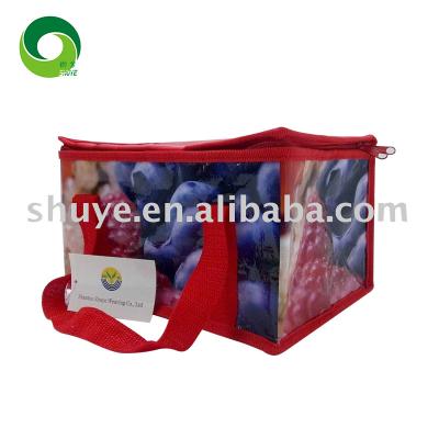 China Handled Small Pp Thermal Cooler Heat Reserve Tote Bag for sale