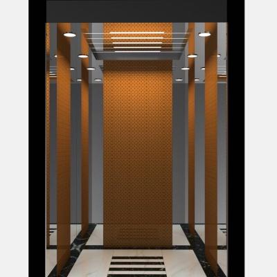 China Customize Top Grade Factory Direct Sales Passenger Elevator Elevator for sale