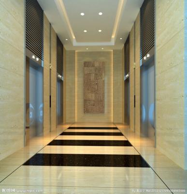 China Modern Residential/Home/Office/Building/Hotel Passenger Elevator for sale