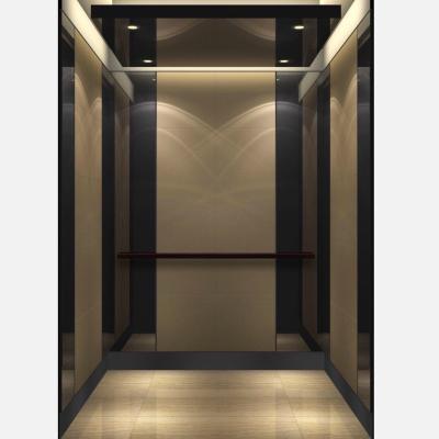 China Small Modern FAST Lift 250kg-450kg Home Residential Elevators for sale