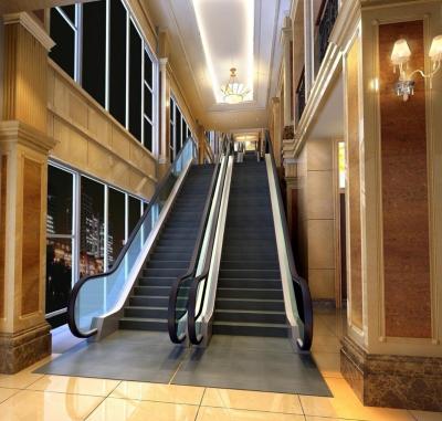 China Customize Commercial Escalators Cost Indoor Auto Escalator Home Price Moving Walk for sale