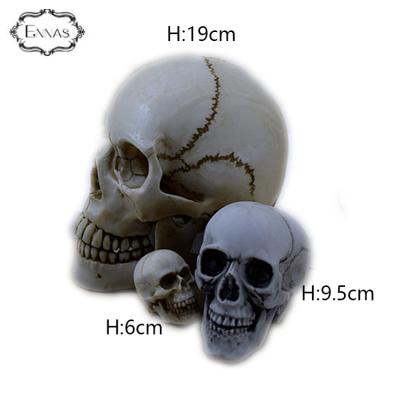 China Other Small Resin Human Skull Heads Model For Party for sale