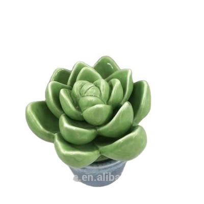 China Modern Wholesale Green Porcelain Planter / Flower Pot Ceramic Mini Succulent Plant for sale