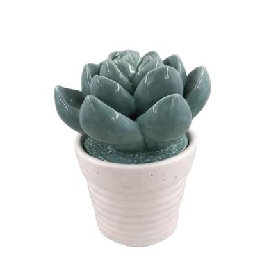 China Europe Wholesale Small Succulent Ceramic Plants Flower For Table for sale