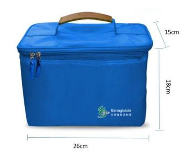 China La bolsa de hielo de nylon de la insulina de la caja de la pluma de la insulina para la cadena de venta al por menor almacena los 26cm*18cm*15cm en venta