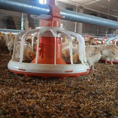 China Poultry Farm Chicken Feeding TBB Wholesale Automatic Feeding Drinking Line Broiler Chicken Poultry Farming System For Sale for sale