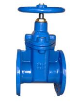 China BS 6755 BS 5150 BS 5163 Resilient Seated Gate Valve DN50 - DN600 for sale