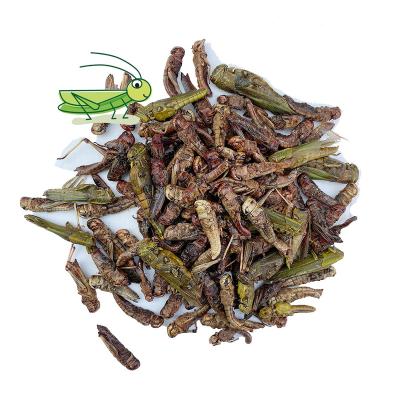 China Stocked Bulk Bird Pet Edible Insects Freeze Dried Grasshoppers Dried Grasshoppers For Bird Feed for sale