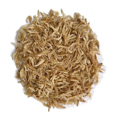 China Sustainable All-in-One Special Price Fish Cat Food Premium Balanced Cat Fish Food Dried Shrimps for sale