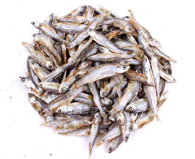 China Factory price viable wholesale hot sale high quality dry fish for animal feed for sale