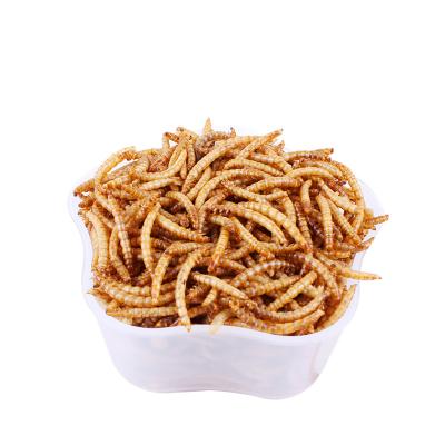 China Sustainable Factory Directly Supply Eco-friendly High Protein Mealworm Bird Fish Food For Animal for sale