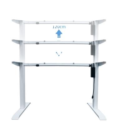 Chine Motorized Workstation Standing Desk Frame With Memory Settings Height Adjustable, Electric Best à vendre