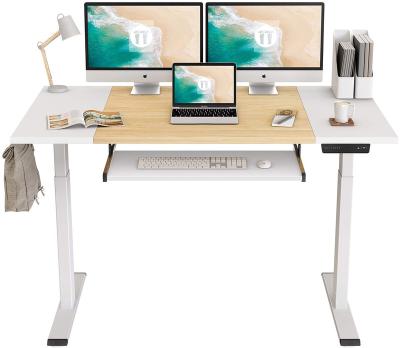 Chine Ergonomic Home office Height Adjustable Electric Standing Desk with Keyboard à vendre