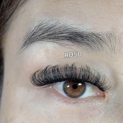 China 6mm Mink Curl Natural Russian Striplashes RD50 Full Strip False Eyelashes MM 10mm D Mm 10mm D Lashes False Lashes Russian for sale