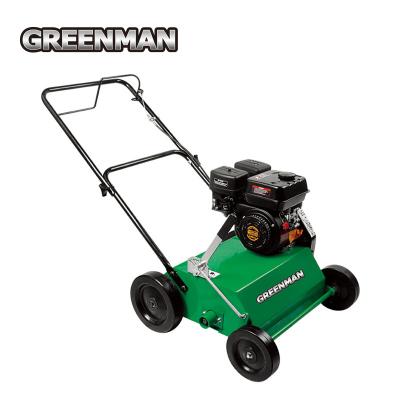 China High Work Efficiency Walk Behind Lawn Powered By Gasoline Engine Dethatcher for sale