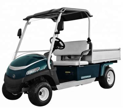 China Hot Sale H352/48AC Utility Electric Golf Cart for sale