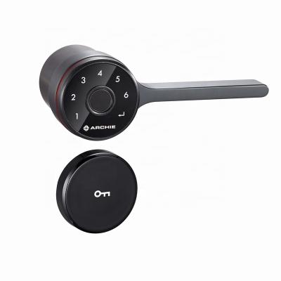 China Modern Bio Digital Door Handle Smart Fingerprint Electric Door Lock Outside Lever Keyless Door Lock for sale