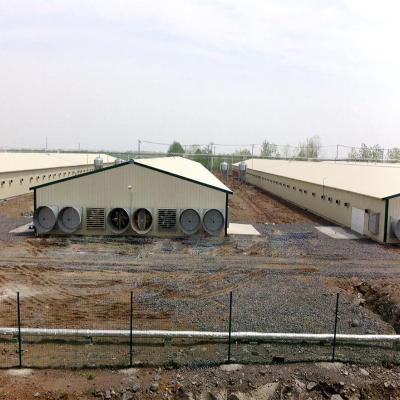 China Large-span Rapid Construction Steel Structure Broiler Chicken Farm Shed Design Poultry House for sale