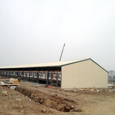 China Large-Span Steel Structure Chicken Broiler House Poultry Shed Design Prefab Metal Building Farm for sale