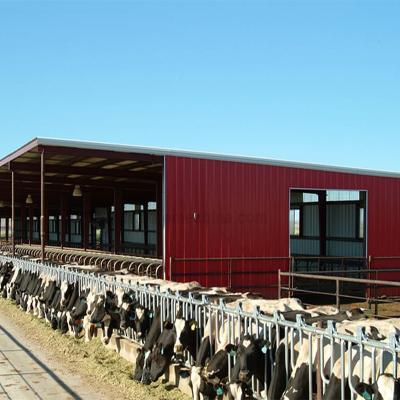 China Large-Span Steel Structure Design Prefab Cow House Cowshed Poultry Shed Building Farm for sale