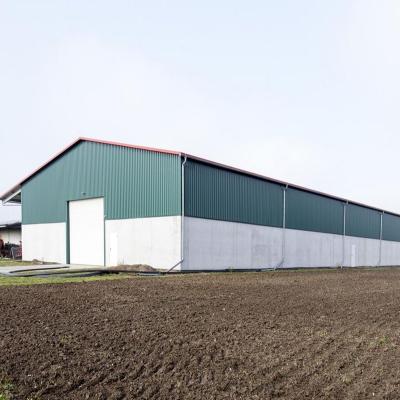 China China Industrial Low Cost Easy Assemble Industrial Design Metal Frame Structure Prefab Warehouse Buildings for sale