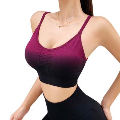 China Fashion Breathable Ladies Workout Crop Tops Women Yoga Bra Running Sports Bra Seamless Padded Top Fitness for sale