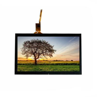 China Industrial TFT 10.1 Inch 1280*800 Lvd Interface IPS TFT LCD 229.34(W)*148.98(H)*2.5(D)mm for sale