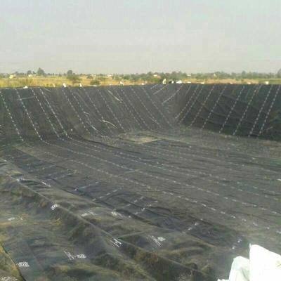 China Modern HDPE Geomembrane 0.2-4.0mm Thickness Waterproof Plastic Geomembrane Fish Pond Rubber Liner for sale