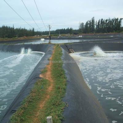 China Fish farm pond dam low price factory HDPE geosynthetic geomembrane/fish farm pond geomembrane for sale