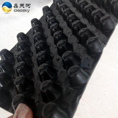 China Aquaculture Drain Cell Drain Board HDPE Drain Board Drainage Cell for sale