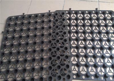 China Modular Drainage Cell, Waterproof Material Drainage Board, Drainage Board for Sidewall for sale