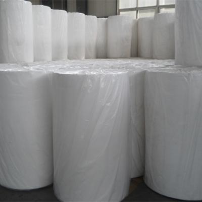 China 20g Waterproof breathable biodegradable eco-friendly 100% PP polyproylene nonwoven fabric for sale