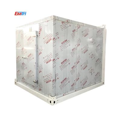 China Container EMTH Cold Storage Supplier Deep Freezer Cold Room For Fish for sale