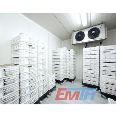 China Refrigerated Equipment Room Refrigerated Equipment Room Freezer Machine Blast Freezer Price Container Chamber Cold Storage for sale