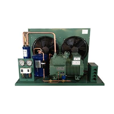 China Air Cooled Cold Storage Room Freezer Room EMTH Compressor Freezer Storage Condensing Unit for sale