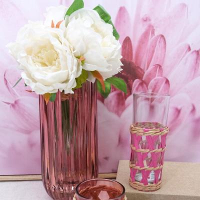 China Glass Large Bud Rose Minimalist Nordic Glass Vase Cylinder Vases for sale