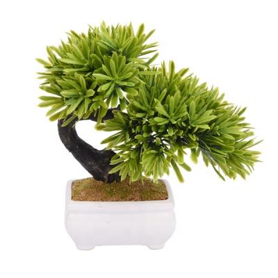 China Real Touch Podocarpus Bonsai Trees Plants Artificial Bonsai Plant Indoor Plants Artificial Bonsai Trees for sale