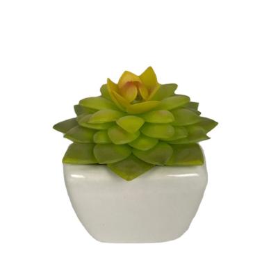 China New Eco - Friendly Ceramic Artificial Succulents Small Plants Pot for sale