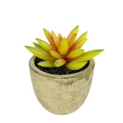 China Eco-friendly Artificial Succulent Planter With Mini Cement Pot Home Table Flowers for sale