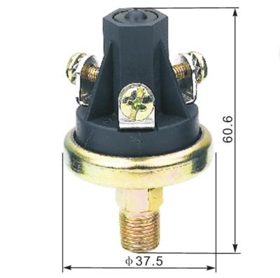 China Brass Oil Water Air Pressure Switch Electronic Controller Passed CE RoHS for sale