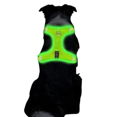 China 2023 New Type C Lights Charging TPU Fiber Optic Battery Show Back LED Dog Chest Factory Customization for sale