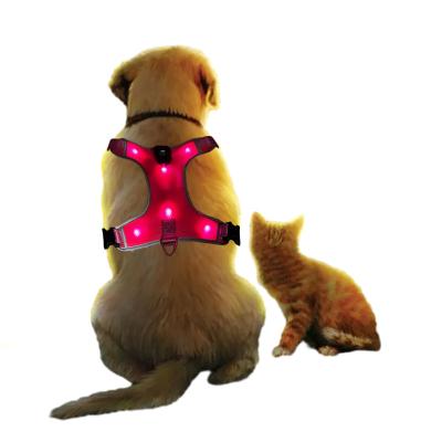 China LED Lights Pet Strap Set Glow Type C Pet LED Strap USB Pet Chest Strap Flash Dog Vest Vest for sale