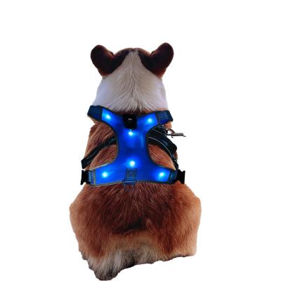 China Bright and Large Dog Lights Pet Products Night Safety Medium Type C Charging Led Dog Chest Beaded Strap for sale