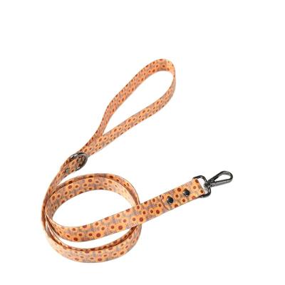 China 2023 New Quick Release Rubber Pet Strap Wrapping Band Factory Customized Orange Green Blue Black Gradient Color Dog Traction Rope for sale