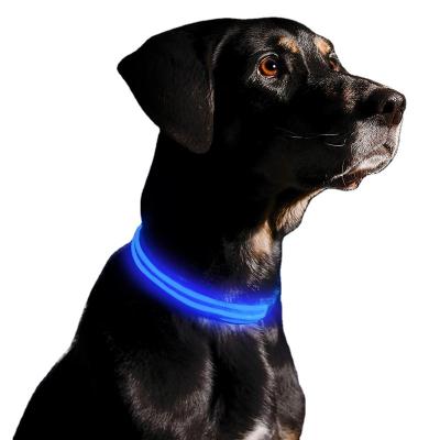 China Hot Selling Lights USB Type C Rechargeable Dog Collar With Adjustable Light Strip And Night Light LED Multicolor Flashing Dog Collar for sale