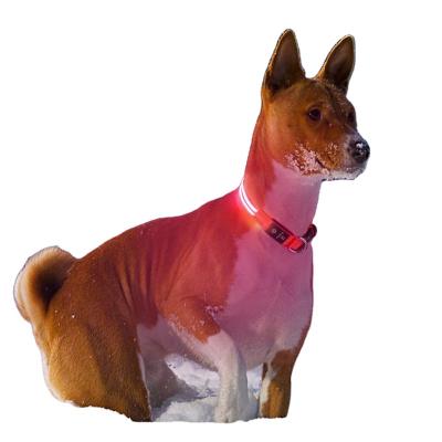 China New Type C Lights Charging Wholesale Supplier Pet LED Shape USB Dog Collar Night Light Instant Charging Dog Collar for sale