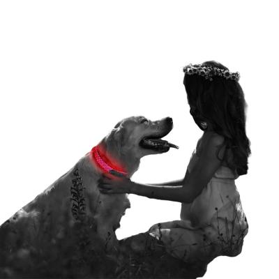 China Hot Selling New Lights Mesh Nylon Strap Type C Charging USB LED Dog Collar Pet Collar for sale