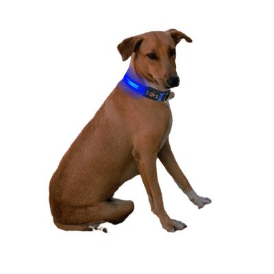 China Lights Suitable For New Air Tag2023 Nylon Strap, Medium To Large Dog Pull Heavy Duty And Sturdy Type C LED Rechargeable Dog Collar for sale